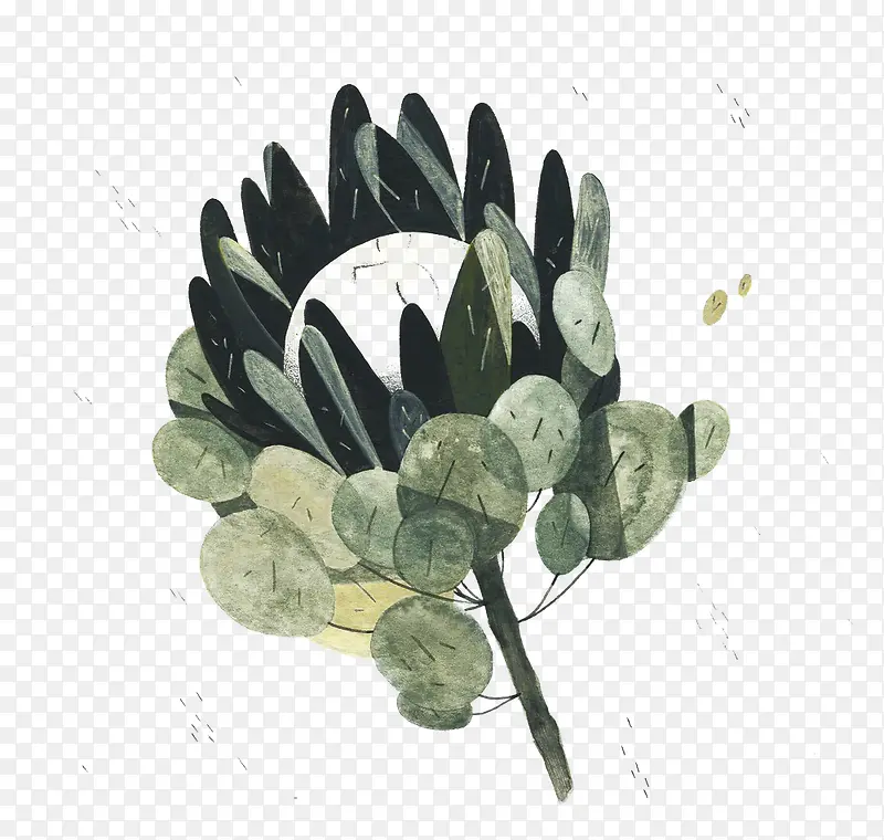 手绘插画