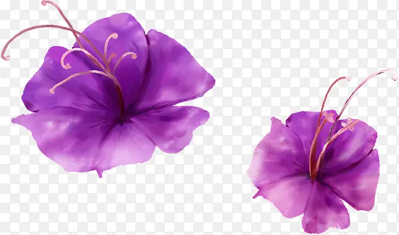 紫色花卉童鞋海报