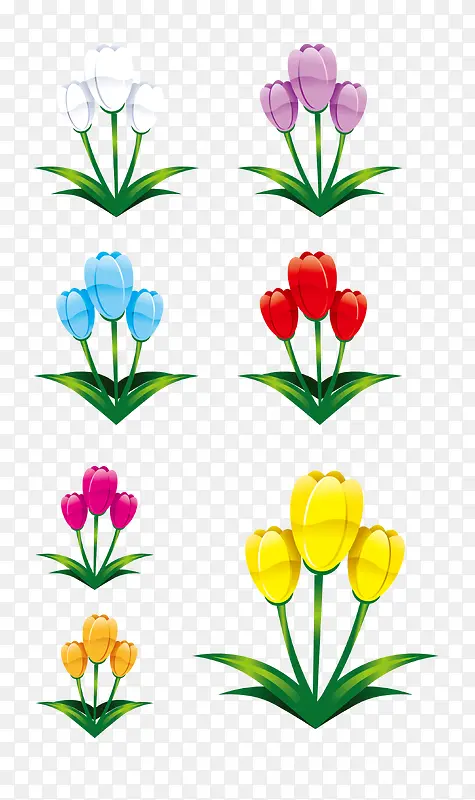 矢量花朵花卉多种颜色
