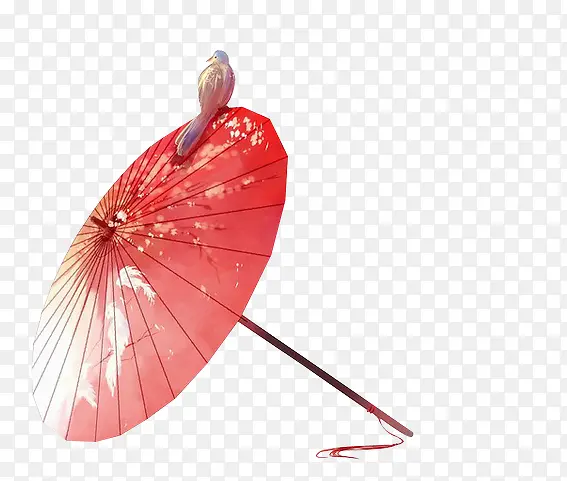 花折伞红色雨伞