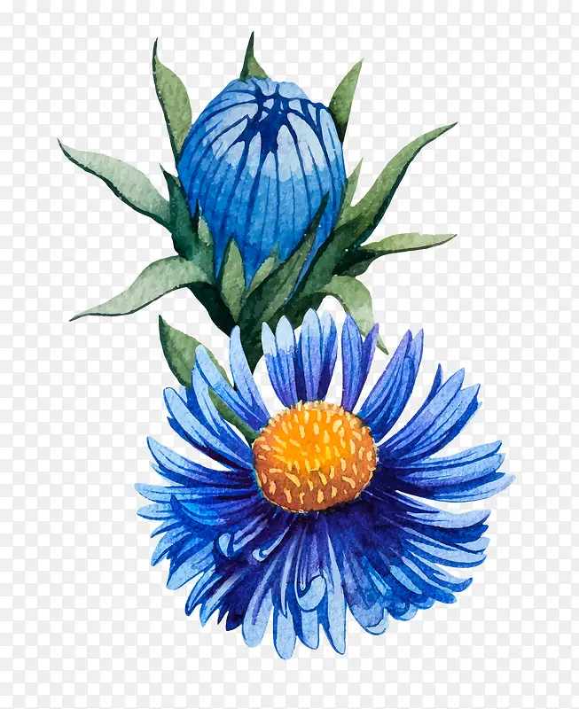 手绘蓝色菊花图案素材