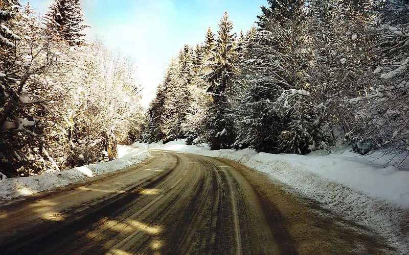雪后的道路落雪的树