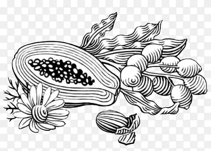 木瓜版画