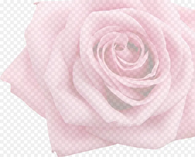 粉色玫瑰女鞋海报装饰