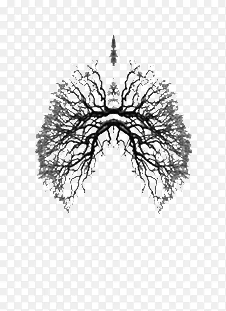 树枝拼凑成的肺