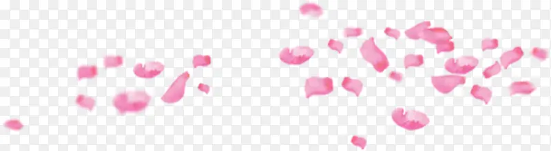 粉色花瓣漂浮特效