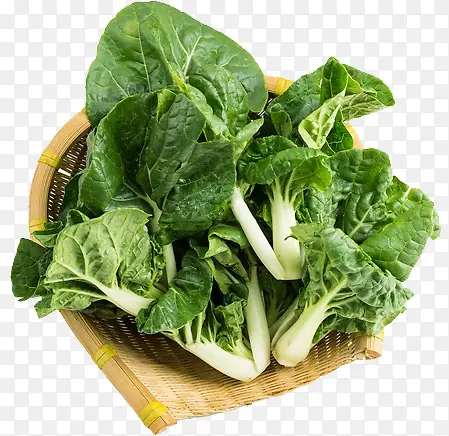 食物蔬菜维生素营养小白菜