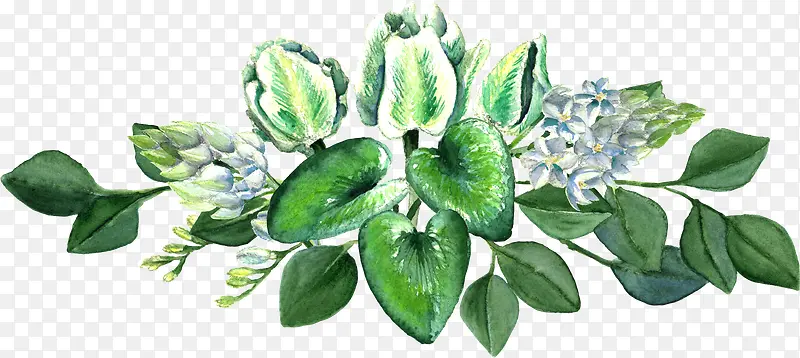 手绘绿色植物花卉
