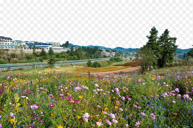 美丽的羊昌花画小镇风景