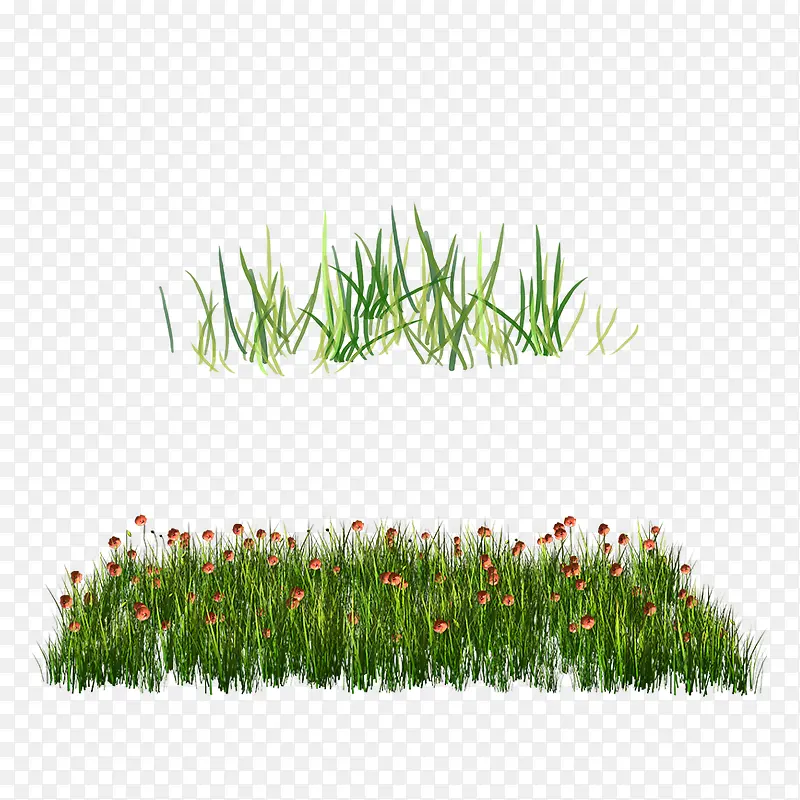 草地草坪绿草