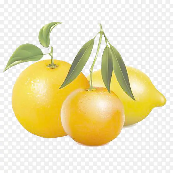 柑橘水果免抠素材