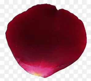 深红色玫瑰花瓣