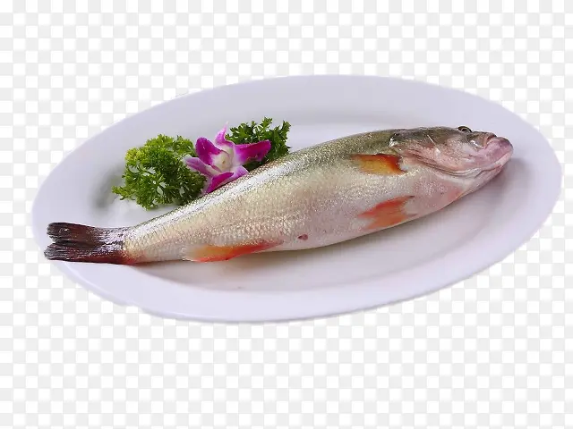 清蒸鱼海鲈鱼