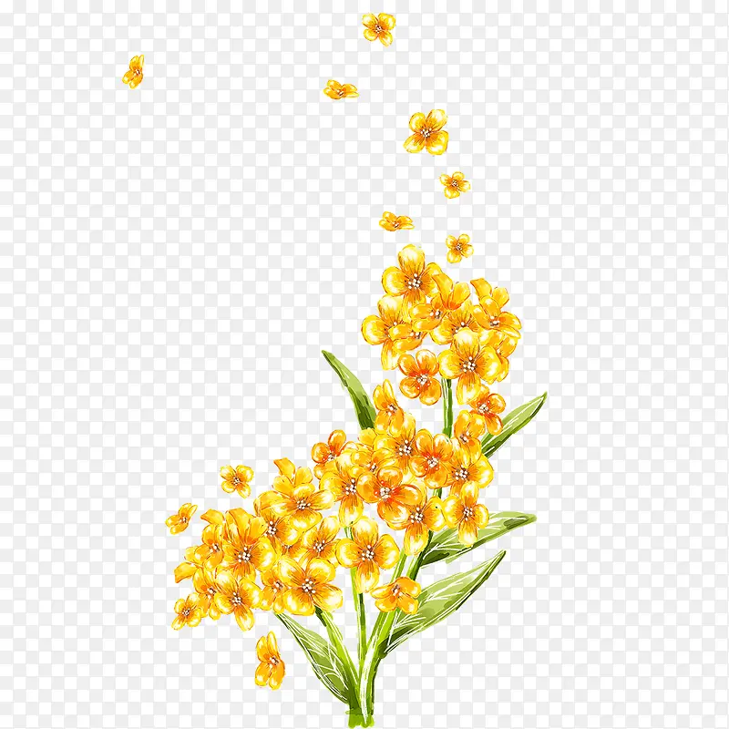 黄色的花瓣吹落