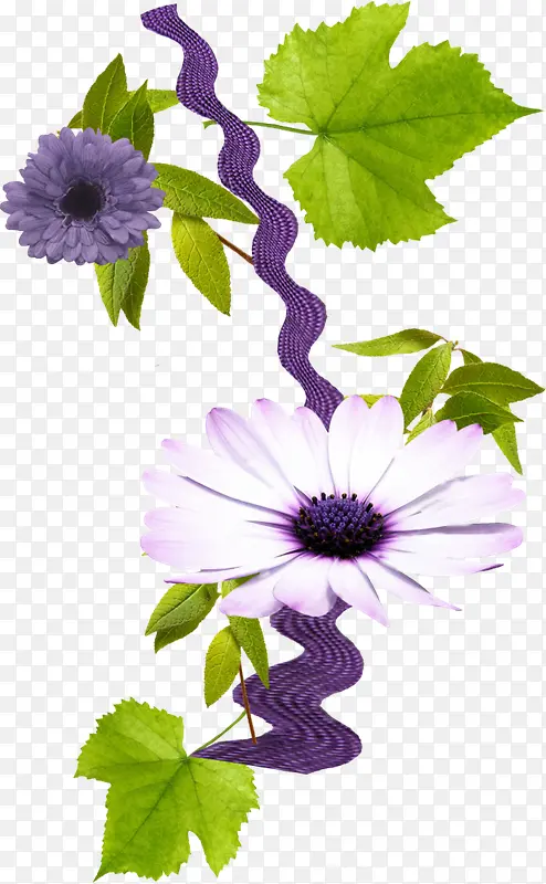 怒放的紫色花朵
