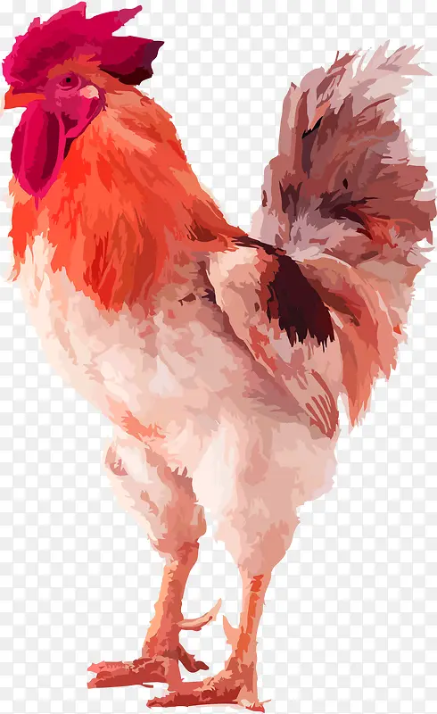 红色大公鸡矢量素材动物