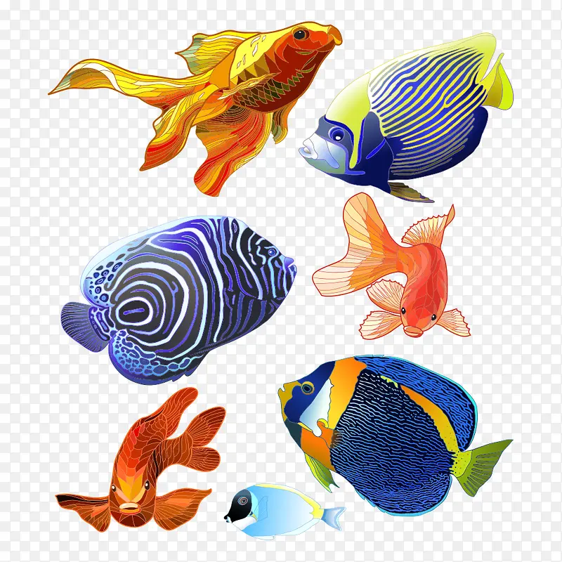 彩色矢量鱼