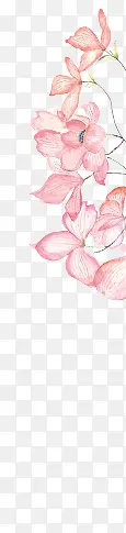 花朵粉红花朵侧边装饰