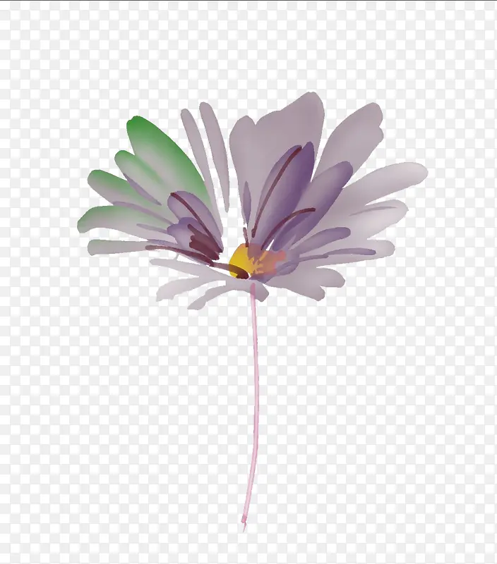一束紫色的小花