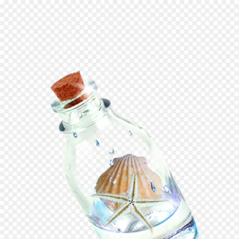 贝壳海星玻璃瓶