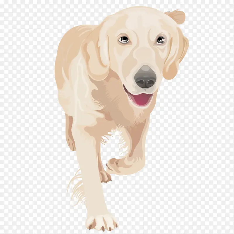 奔跑的警犬