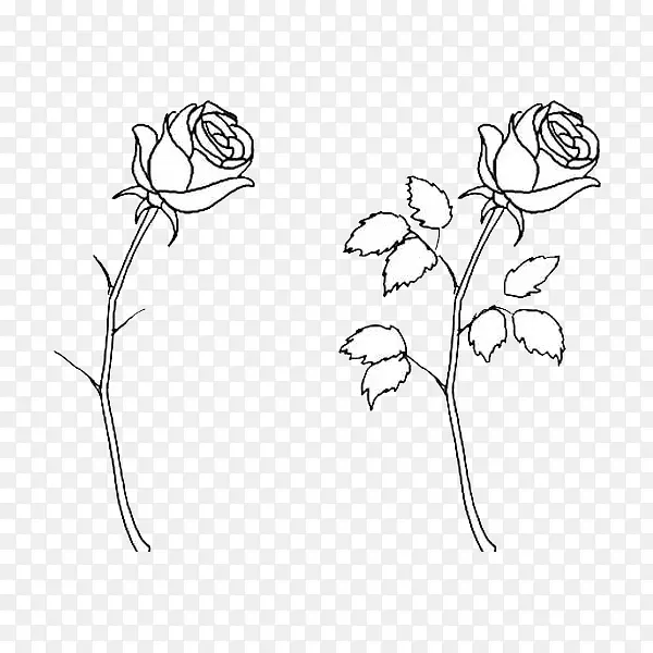两朵白玫瑰手绘