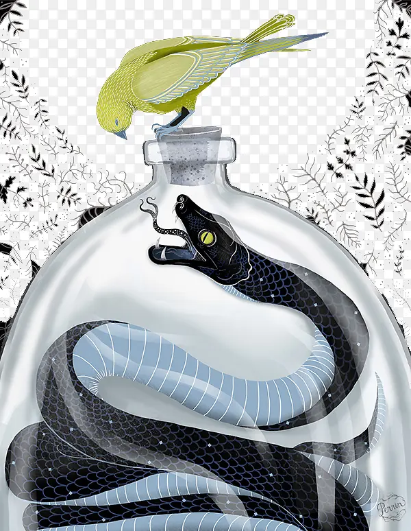 手绘瓶子里的蟒蛇