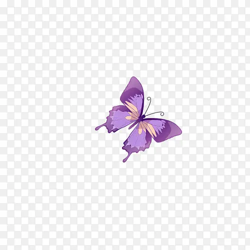 又是紫色的蝴蝶