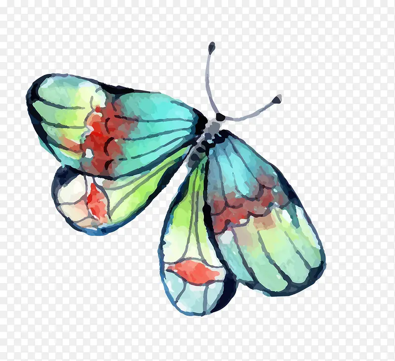 彩色手绘的蝴蝶