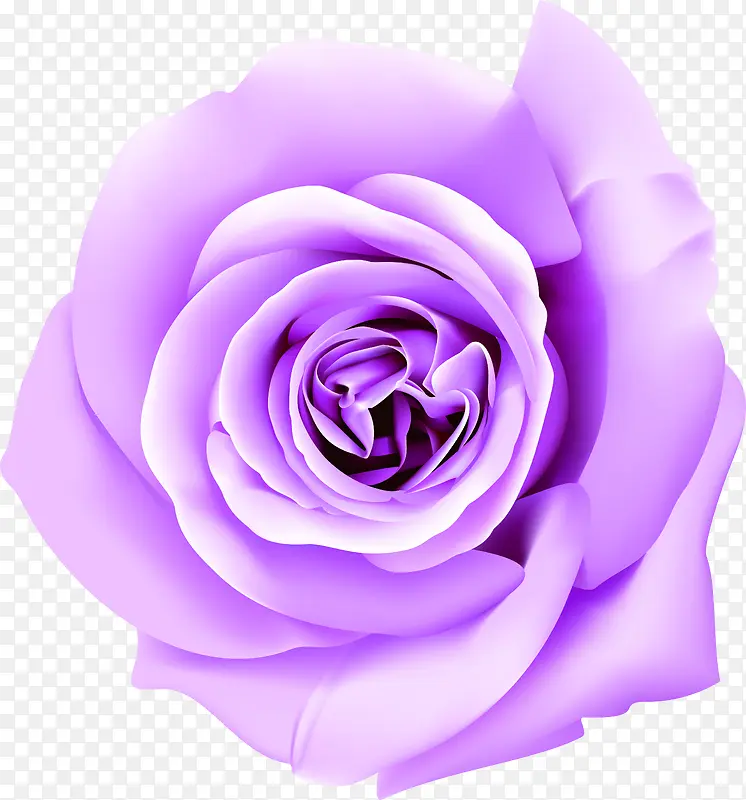 创意合成手绘紫色的玫瑰花
