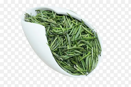 新鲜茶叶