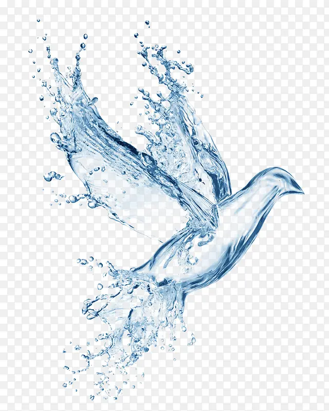 水珠创意液体水鸟造型
