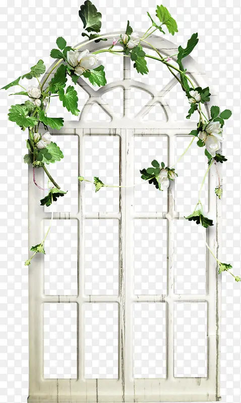 白色花藤缠绕的门窗