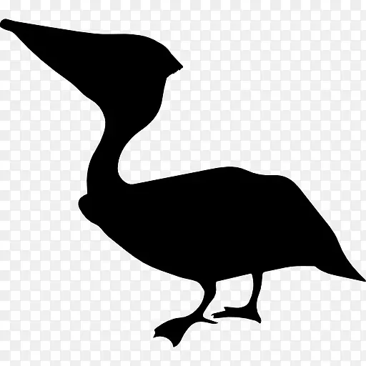 蛇鹈鸟的轮廓图标