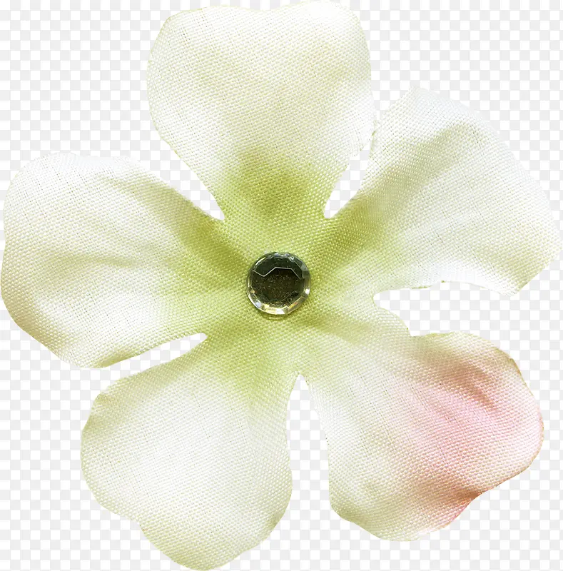 白色网状花朵