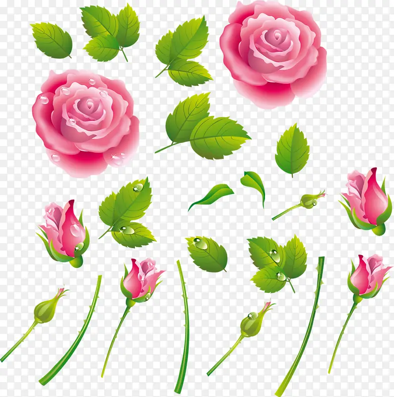 背景鲜花