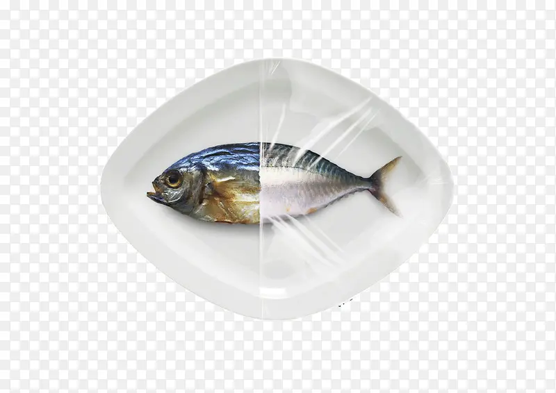 鱼保鲜膜创意