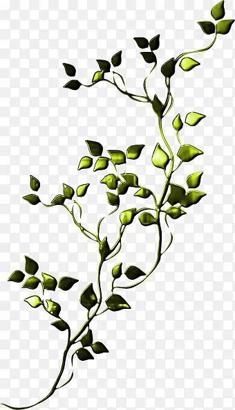 手绘绿色植物