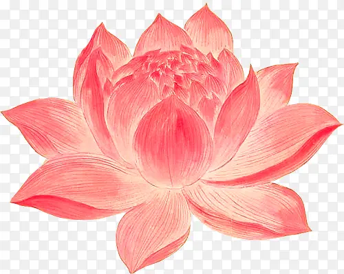 创意合成手绘红色的莲花