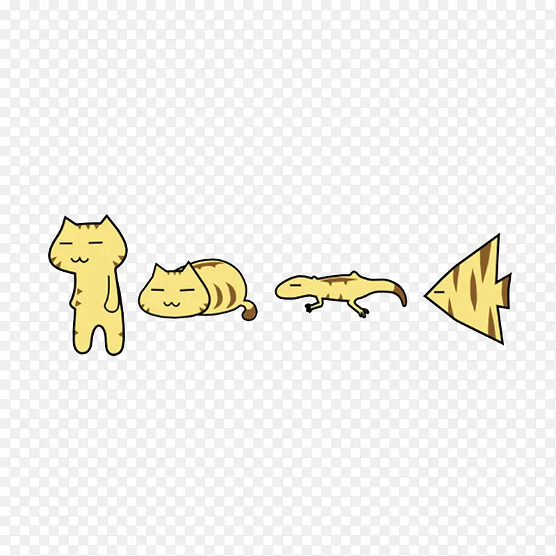 猫的进化