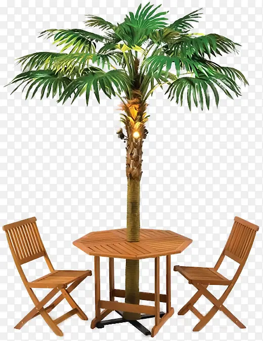夏日活动植物椰子树沙滩