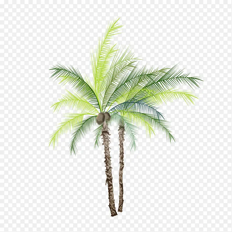 椰子树的款式