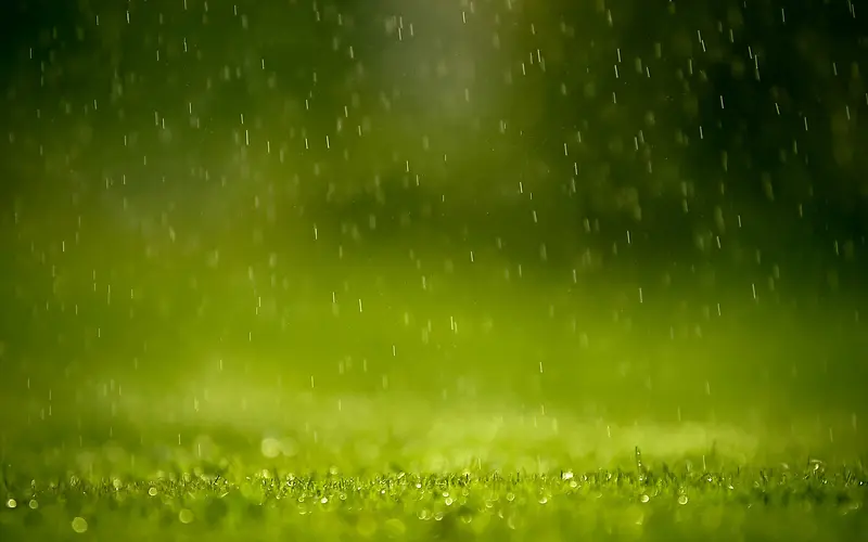 雨季绿色宽屏背景
