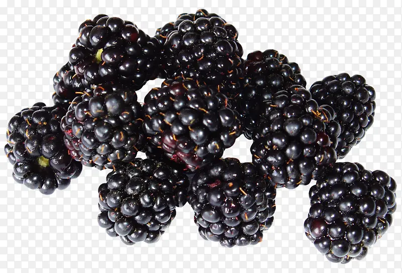 一堆鲜嫩的黑莓