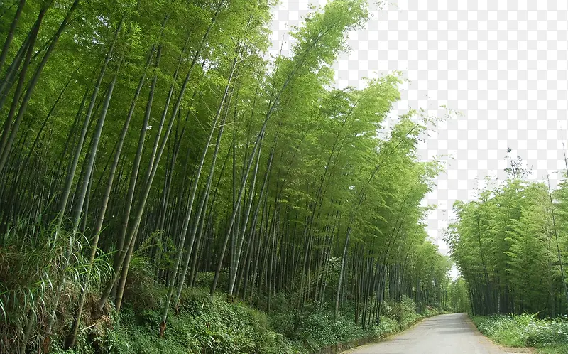 茶山竹道