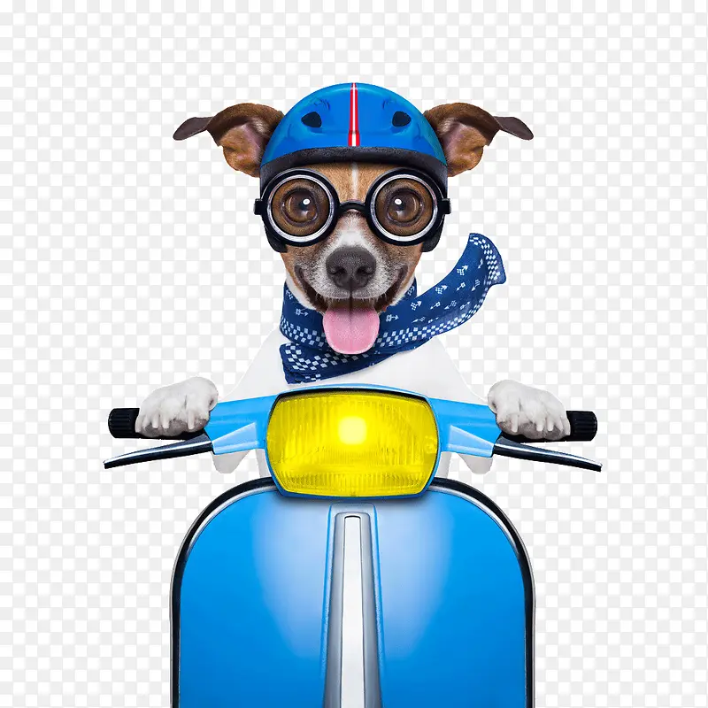 狗狗骑摩托