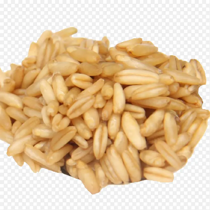 谷物米粒