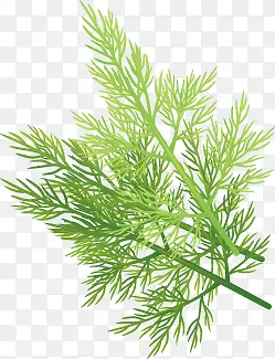 矢量手绘蔬菜