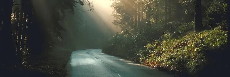 阴森背景