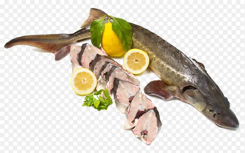 实物 鲟鱼  促销